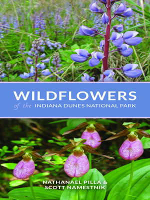 cover image of Wildflowers of the Indiana Dunes National Park